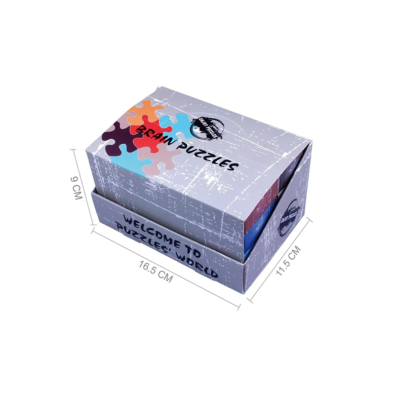 Rail Glide Metallic Cognition Puzzle Challenger